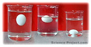 scienceproject com